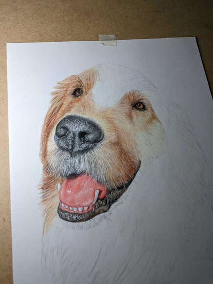 Desenho Realista de Pet Feito a Mão