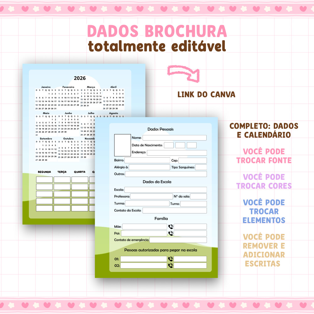 Dados Brochura editável no canva 2026