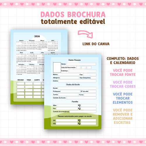 Dados Brochura editável no canva 2026