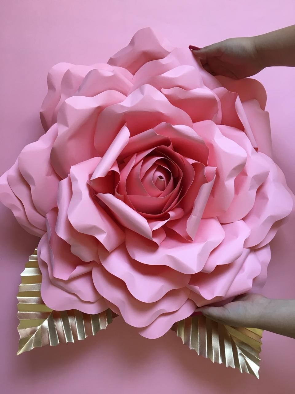 Rosa gigante 60cm