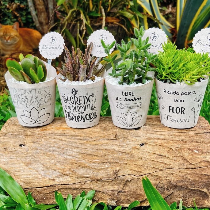 Lembracinhas  suculenta personalizada
