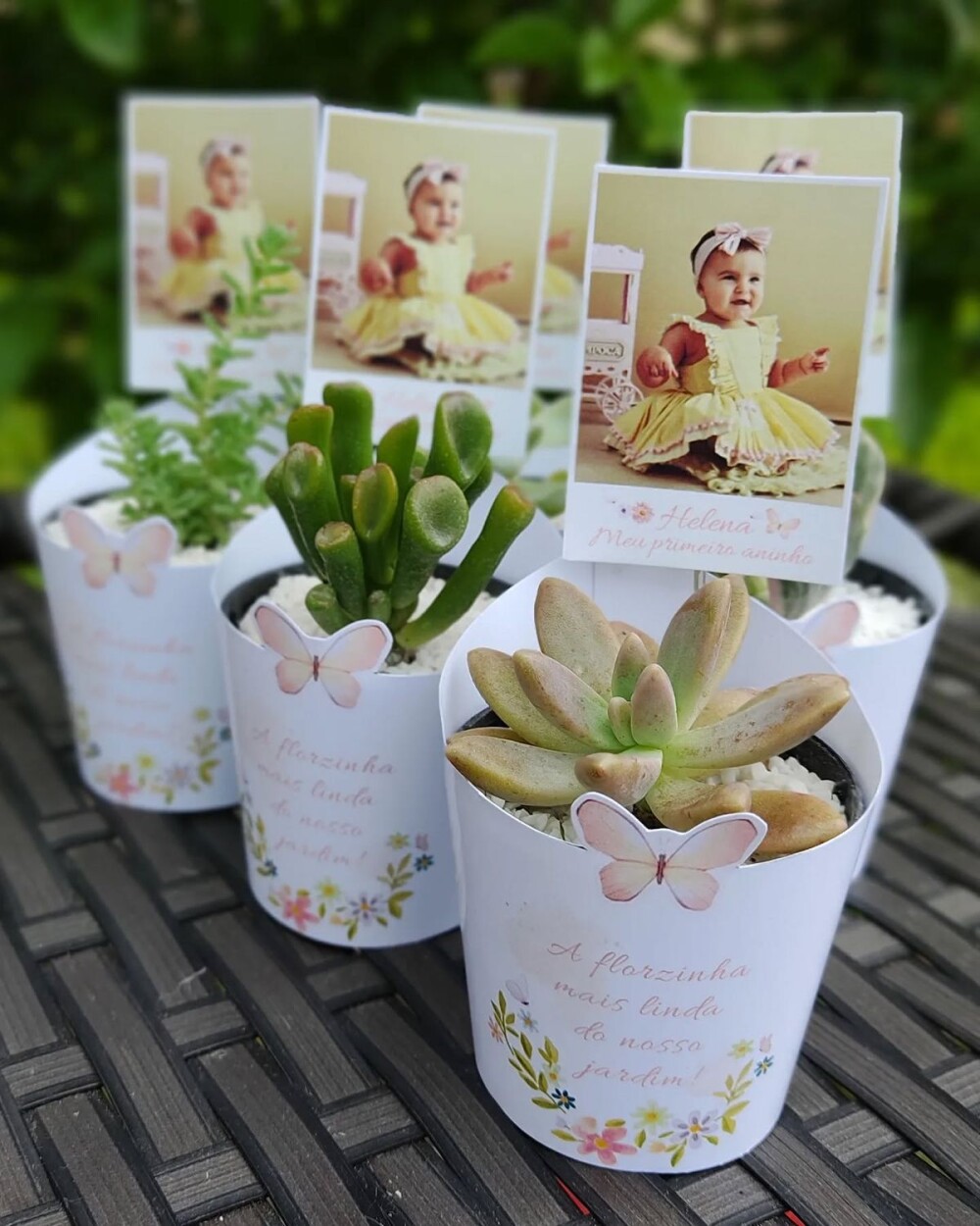Lembracinhas  suculenta personalizada