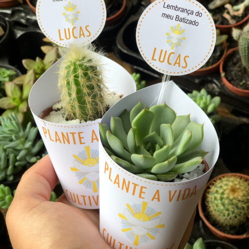 Lembracinhas  suculenta personalizada