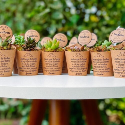 Lembracinhas  suculenta personalizada