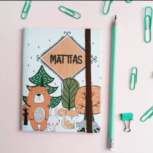 Kit livro do bebê grande e porta documentos