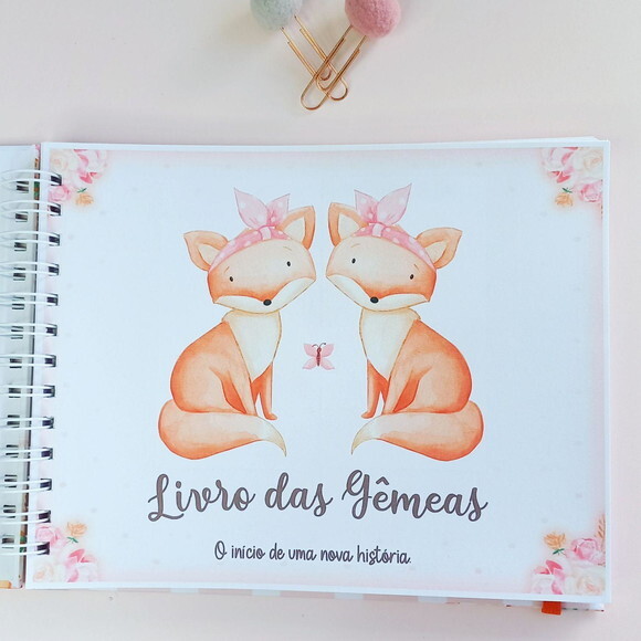 Livro do Bebê Gêmeos