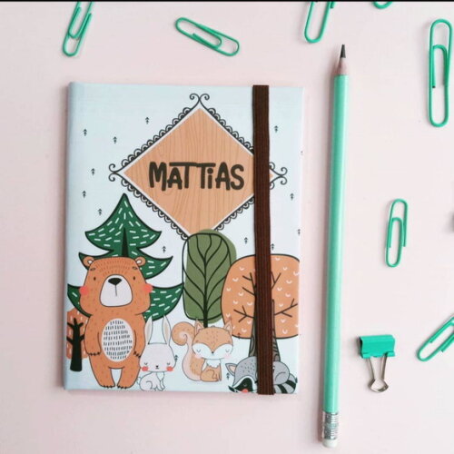 Kit livro do bebê grande e porta documentos