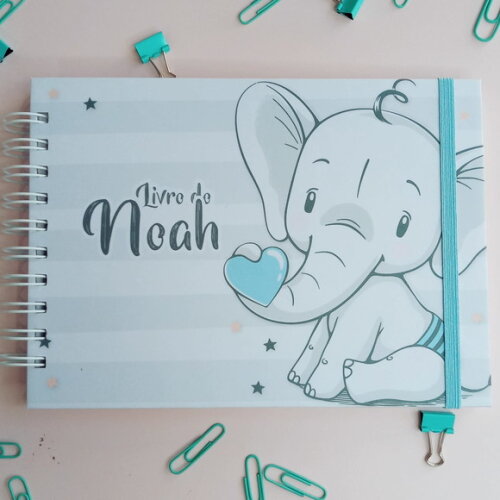 Livro do bebê