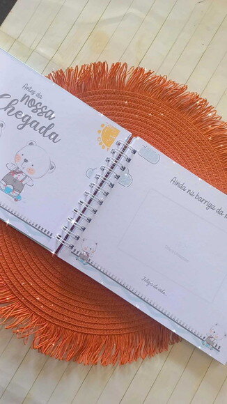 Livro do Bebê Gêmeos