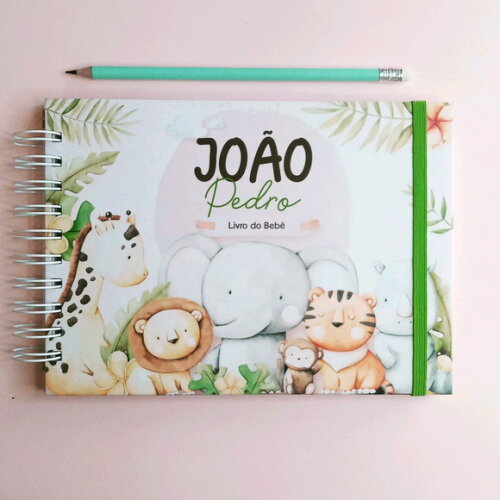Livro do bebê e porta documentos