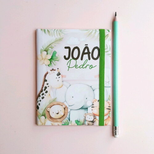 Livro do bebê e porta documentos