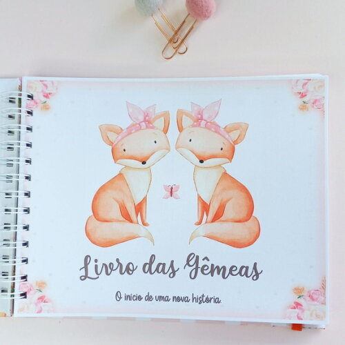 Livro do Bebê Gêmeos