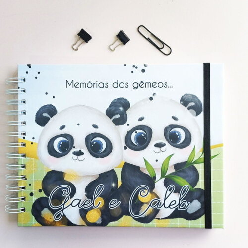 Livro do Bebê Gêmeos