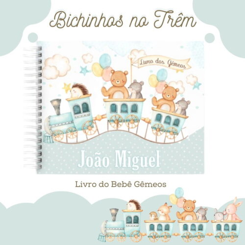 Livro do Bebê Gêmeos