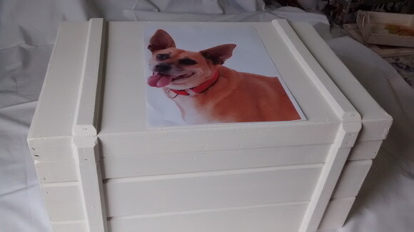 Bau Egípcio 2
