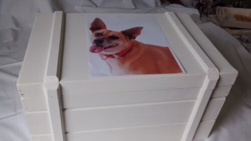 Bau Egípcio 2