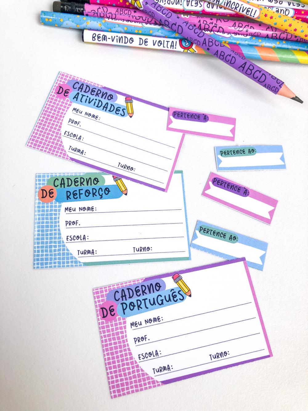 Arquivo Digital Etiquetas Escolares Tradicionais Azul e Rosa