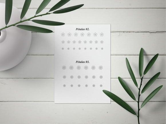 Folhas De Treino Para Decoração 3d Acrílico Pdf