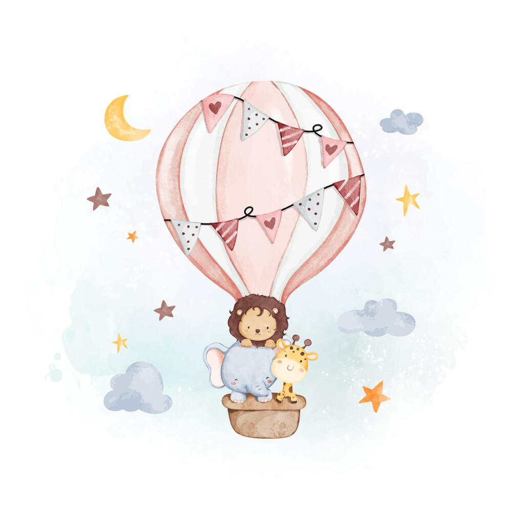 Arquivo Digital Elementos Safary baby cut PNG