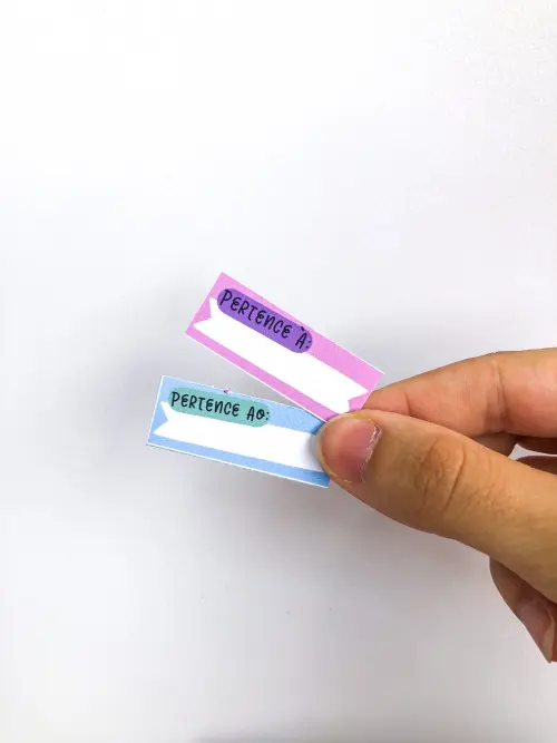 Arquivo Digital Etiquetas Escolares Tradicionais Azul e Rosa