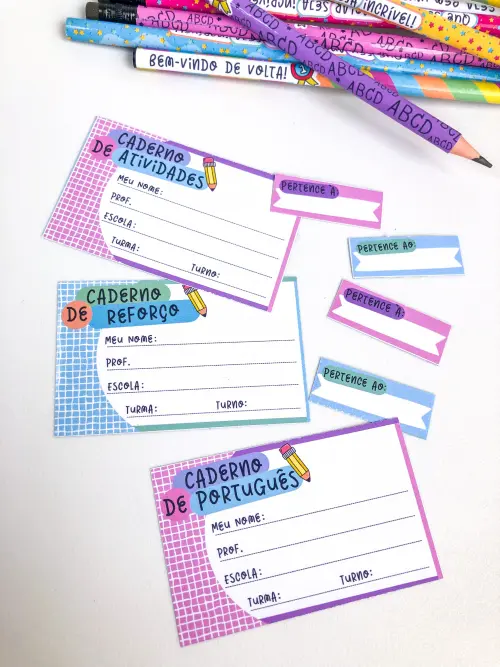 Arquivo Digital Etiquetas Escolares Tradicionais Azul e Rosa