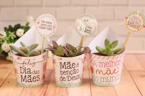 Arquivo Digital Saia Suculenta Dia das Mães