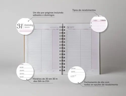 Arquivo Digital Miolo Agenda com Livro Caixa 2026