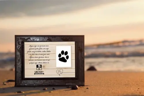Kit Digital Artes para Memorial Pet