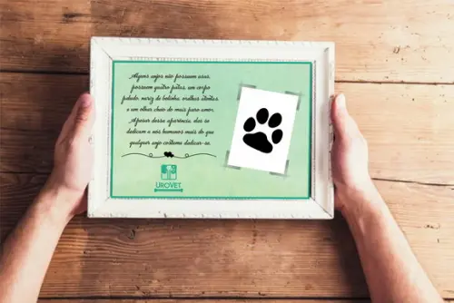 Kit Digital Artes para Memorial Pet