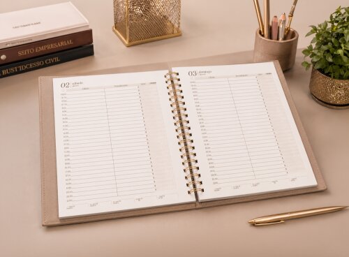Arquivo Digital Miolo Agenda Plus 2027 | Agenda com Livro Caixa