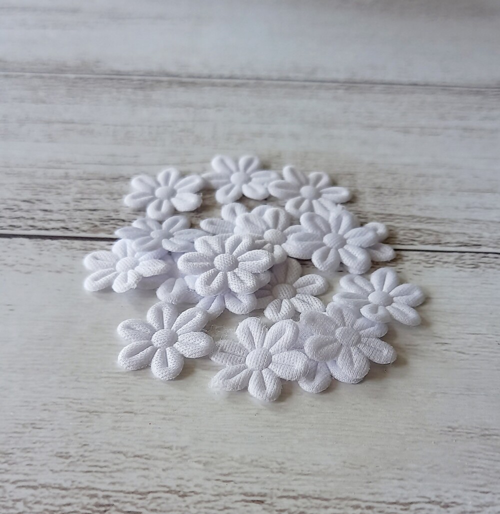 Flor 2cm Prensada Pacote 100 Unidades para Artesanato Laços Ling