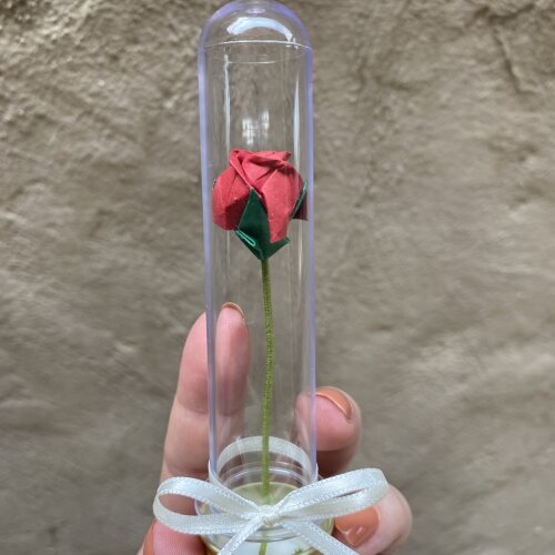 Mini Rosa no Tubete