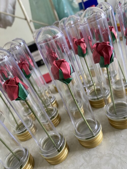 Mini Rosa no Tubete