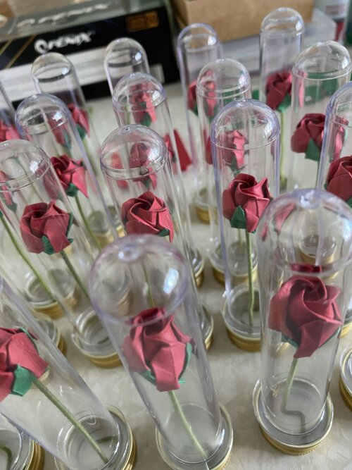 Mini Rosa no Tubete