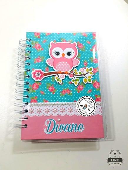 Agenda Coruja