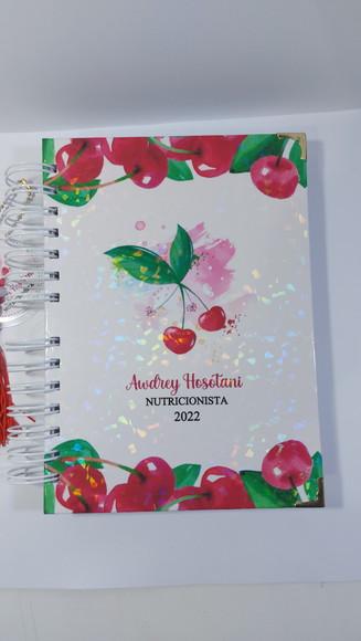 Agenda Nutricionista 2026