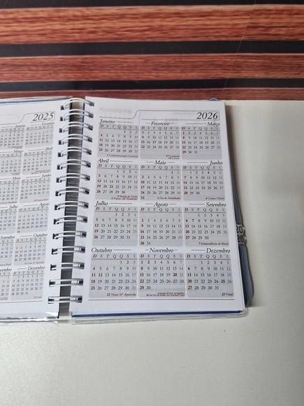 Agenda Professora 2026