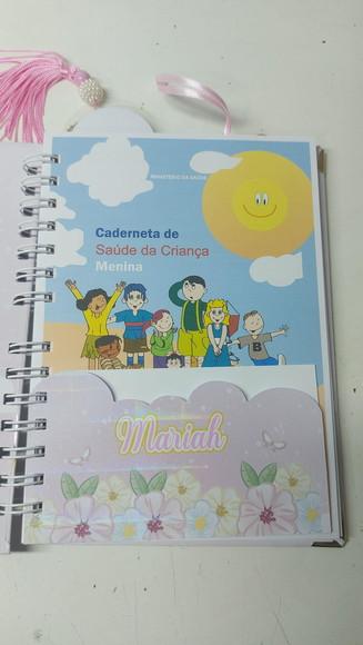 Caderneta de Saude Ovelhinha