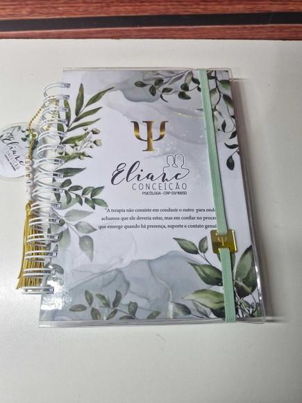 Caderno Controle Consultas