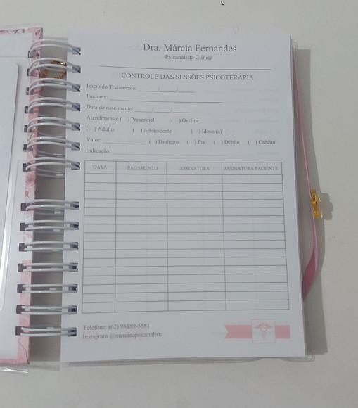 Caderno Controle Consultas