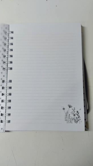 Caderno Gatinho