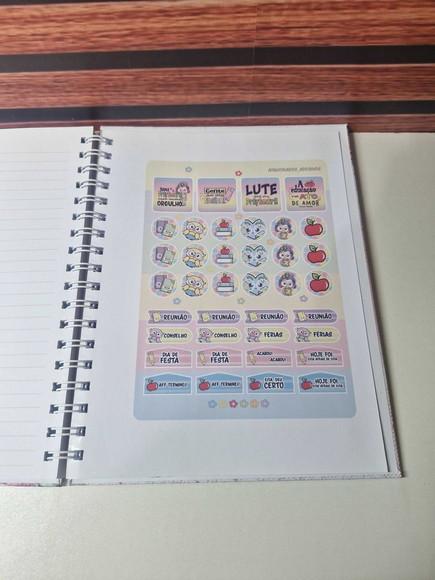 Caderno Professora