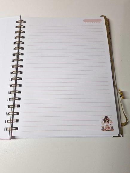 Caderno Professora