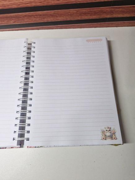 Caderno Professora Colegial