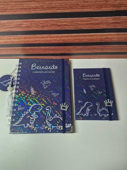 Kit Caderneta de Saude e Porta Certidão Dinossauros