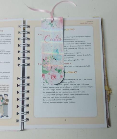 Kit Caderneta e Livro do Bebê