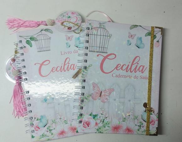 Kit Caderneta e Livro do Bebê