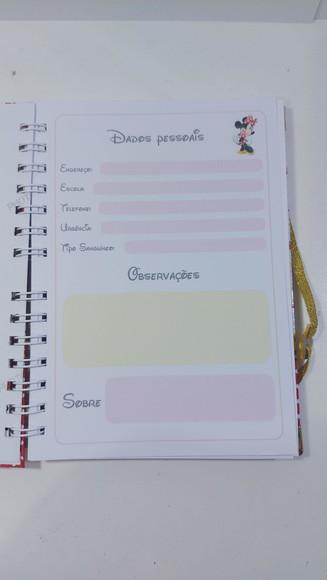Kit Estojo + Caderno Personalizado Minnie