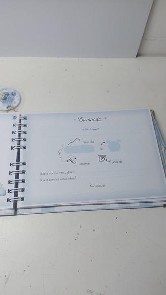 Kit Livro do Bebê + Caderneta Vacina Carrinho