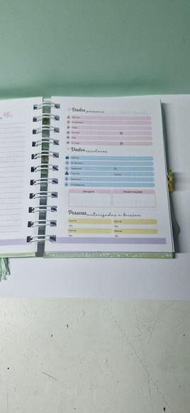 Mini Agenda Planejamento Escolar